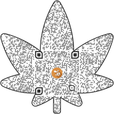 QR-Code zu den Schulgarten-News
