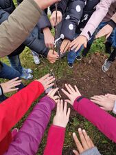 Neue Wurzeln schlagen