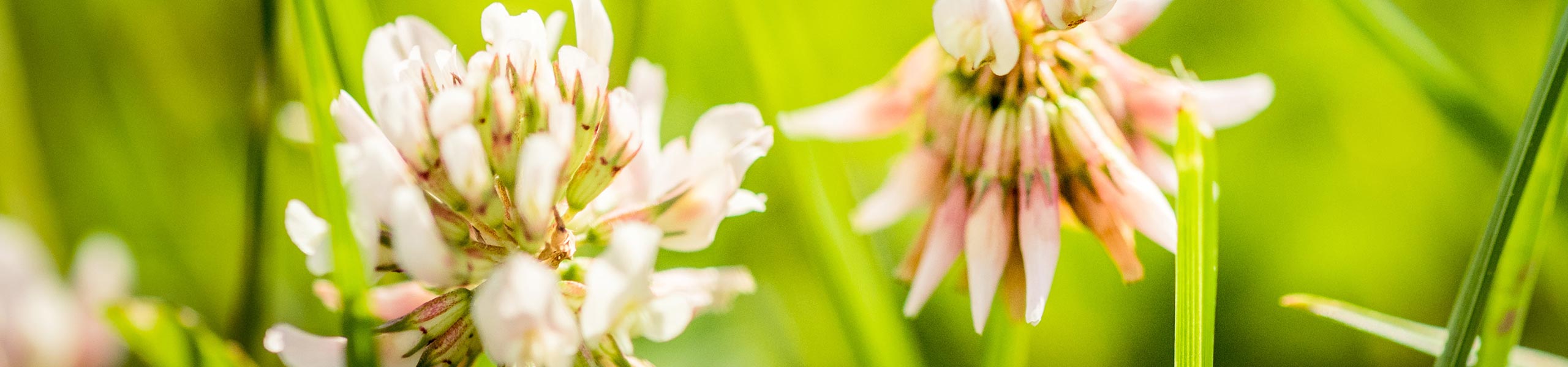 Impressum - Landesschulzentrum für Umweltbildung | 74740 Adelsheim